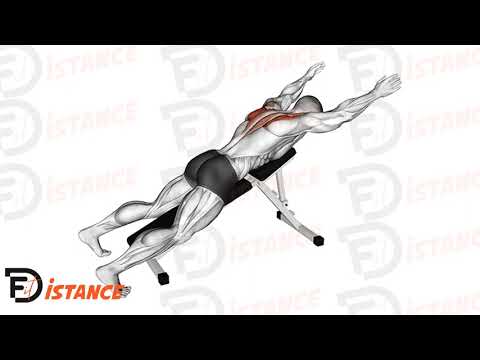 Exercice Élévation en Y sur banc incliné