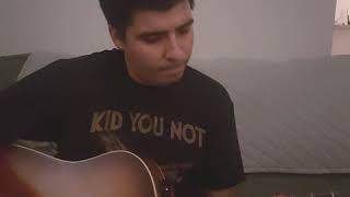 Bad Religion - You are the Government (Acoustic Cover)