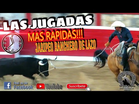 Las Jugadas Más Rápidas Del Jaripeo A Capa Lazo y Jinete