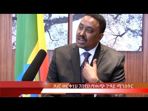 Interview With Dr Workneh Gebeyehu Foreign Affairs Minister