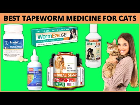 Best Tapeworm Medicine For Cats😾How to Get Rid Of Cat Worms Easily