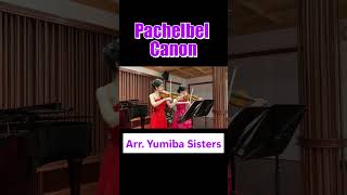 Download lagu Pachelbel Canon #pachelbel #パッヘルベルのカノン #クラシック名曲 #violinduo #violin mp3 Download lagu Pachelbel Canon #pachelbel #パッヘルベルのカノン #クラシック名曲 #violinduo #violin mp3