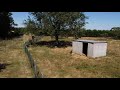 video 5P59q-fE-zw