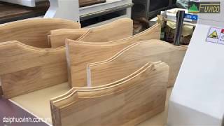 MÁY PHAY PANO CỬA 2 TRỤC CNC WOODMASTER