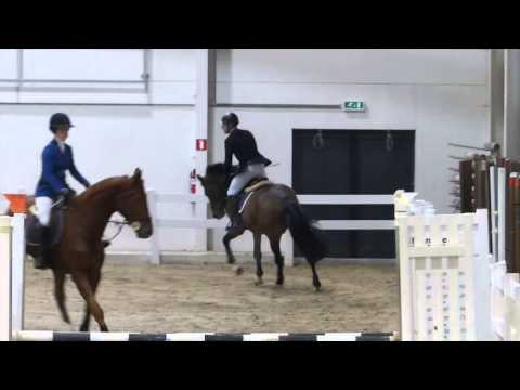 Outstanding stallion "  Diarado x Contender " go for the 5 x clear round in the challenge !
