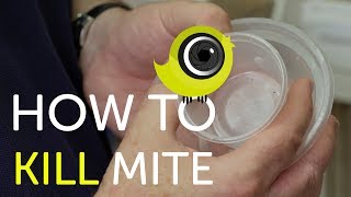 How To Kill Mite | The Canary Room Top Tips
