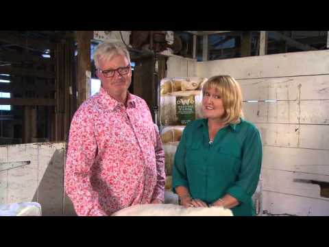 60 Second Biomag ad - 2012