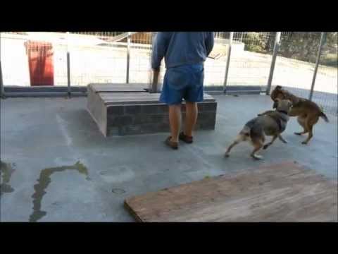 Thelma & Louise .... gettting happy ....