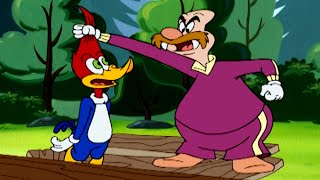 Regras do Acampamento Maluco | Pica-Pau em Português