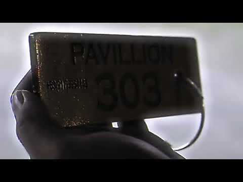 Cerrero Hollywood - 2ldok & Madman Stan (Visualizer)