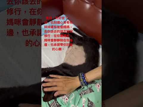2007年出生