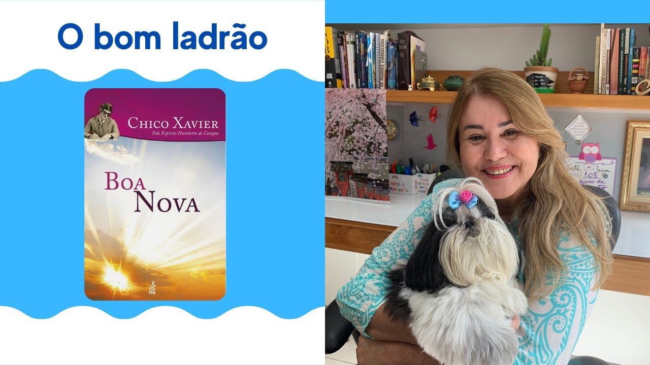 28- O Bom Ladrão - Livro Boa Nova| Maristela Santos