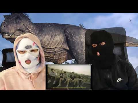 102 BOYZ - SONNENBLUMENKERNE | ÄHRLICHE REAKTION