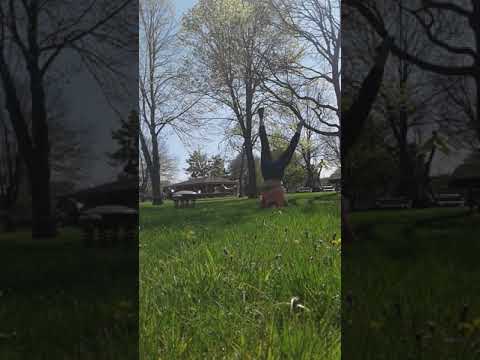 Outdoor Yoga Flow at the park