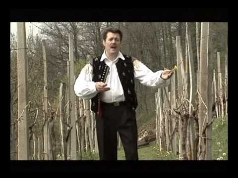 Ansambel Zasavci - Ljubi jo, ljubi