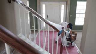 Protect Painters