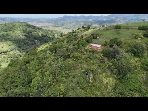 Vende se esse sítio no Engenho Tambor zona rural Palmares PE 90.000 (081)996309085