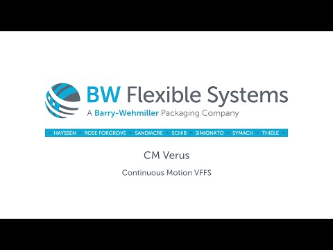 IQF Expert - Hayssen Verus VFFS Bagger Overview