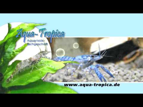 Aqua-Tropica Nürnberg - Das Original