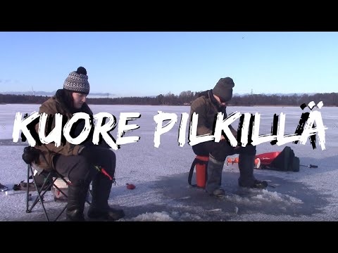 Kuore Pilkillä