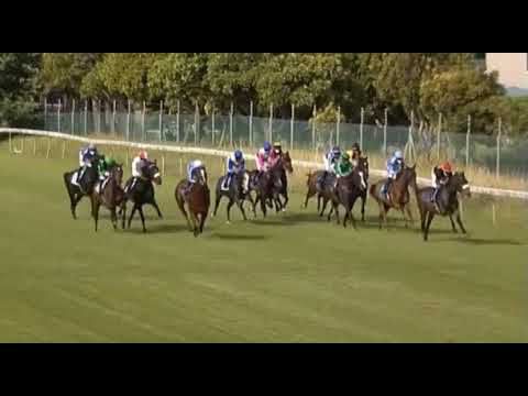 ERIK THE RED - Cape Merchants Gr2