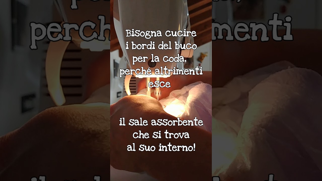 Fare un pannolino per cani!