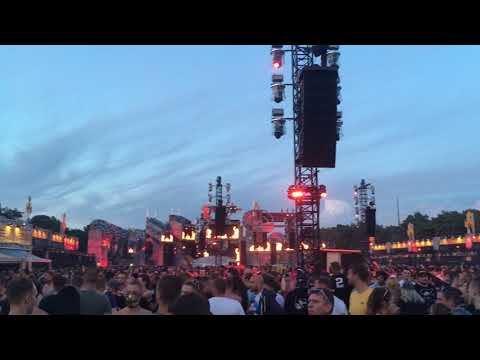 Dominator 2019 N-vitral