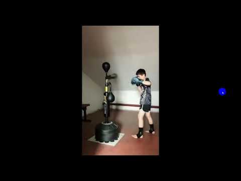 ~子甄彣璟~立式拳擊反應靶 沙包 棍靶 旋轉靶 旋轉棒 速度球 手靶棍 拳擊 發洩沙包 出氣筒 健身 運動 反應靶