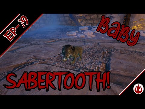 ARK Survival Evolved Ep 19 - Sabertooth Breeding!