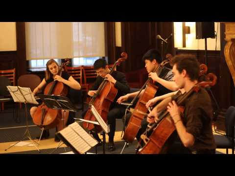 [Live] Titanium by David Guetta for 5 Cellos - String Theory