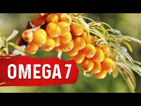 An APPLE a Day Will NOT Let Your Weight Go Away – Dr Berg