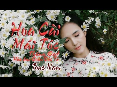 karaoke Hoa Cài Mái Tóc |tone Nam|🎤