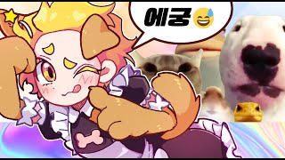 영상 마니 못 올려서 미아내🥹
