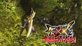 【MHXX】シンプルに強くて泣きそうです【ラージャン】ep32