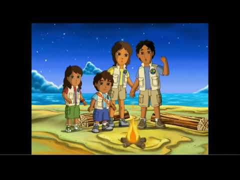 Go Diego Go Sea Turtle Rescue