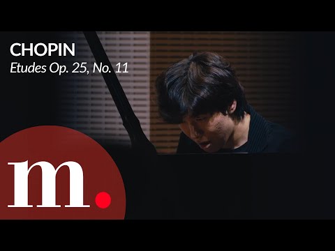 Saehyun Kim (김세현) performs Chopin's Etudes Op. 25, No. 11 at the Fondation Louis Vuitton