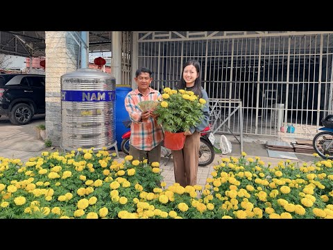 Dượng 7 Xúc Động Khi Được Mạnh Thường Quân Giải Cứu Hơn 100 Chậu Bông Thọ Tặng Lại Cho Bà Con #825