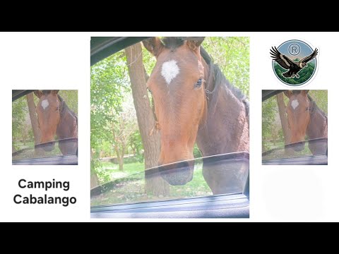 Camping Cabalango. Villa Carlos Paz, Córdoba.