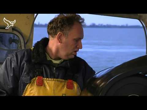 Nieuws van 25-11-2010