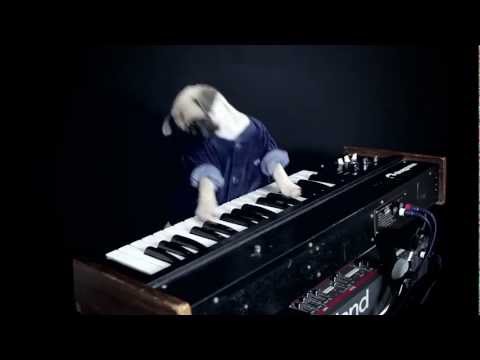 Keyboard Cat Dog: Heavy Crownage EP | UKF Bassculture NYE Teaser