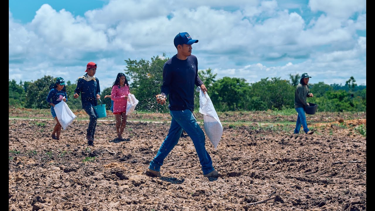 The Our Forest, Our Home Project: Planting Seeds with Muvuca in the Sete de Setembro Indigenous Land