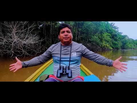 Nature Horizons - The Amazon