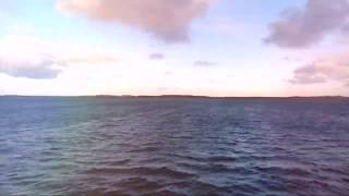 The dark island / THE IRISH ROVERS