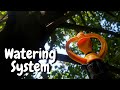 Watering System | Nutmeg | Jathikka