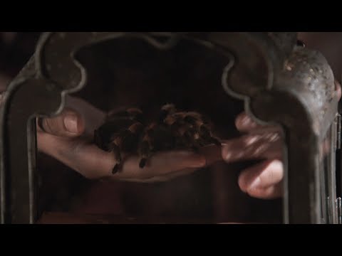 SCENES FROM SALEM: Episode 9 -- Tituba's Familiar