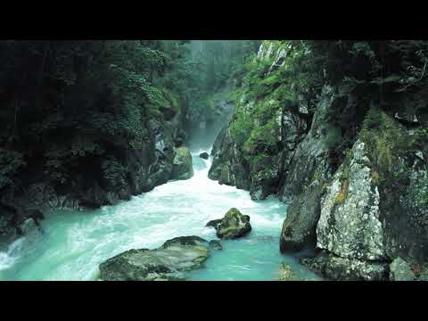 3 Hours Relaxing River Sounds in the Mountains // nature sounds