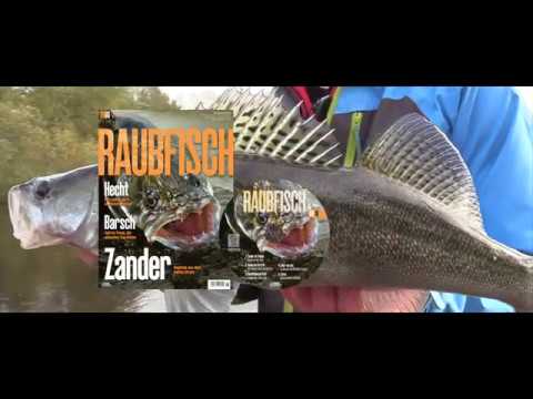 DER RAUBFISCH 6/2018