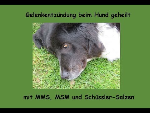 Prellung Ellenbogen Schwellung Ob Brust-Osteochondrose aufgeben