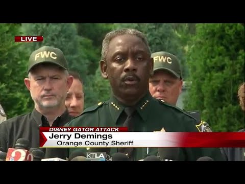Sheriff says boy's body recovered after gator attack
