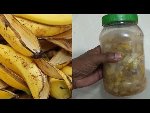 , title : 'You will never throw away banana peels after watching this